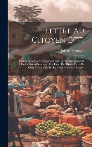 Cover image for Lettre Au Citoyen D***,