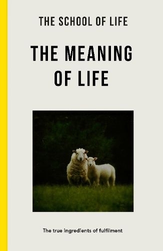 Cover image for The Meaning of Life