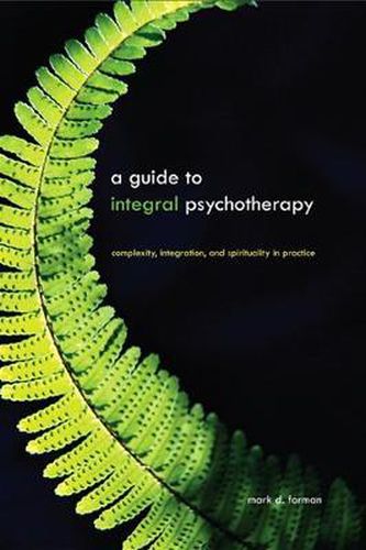 Cover image for A Guide to Integral Psychotherapy: Complexity, Integration, and Spirituality in Practice