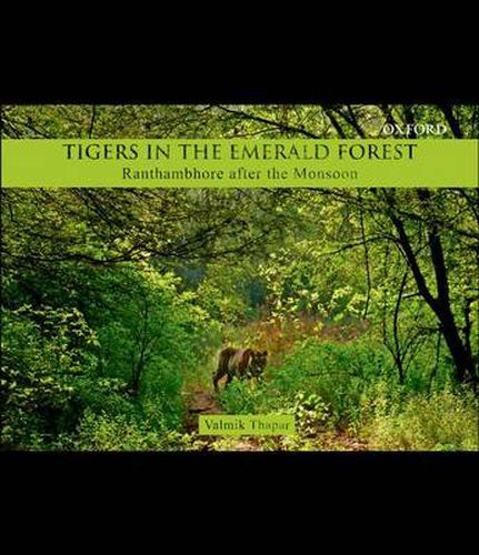 Tigers in the Emerald Forest: Ranthambhore after the Monsoon