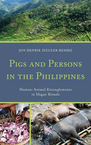 Cover image for Pigs and Persons in the Philippines: Human-Animal Entanglements in Ifugao Rituals