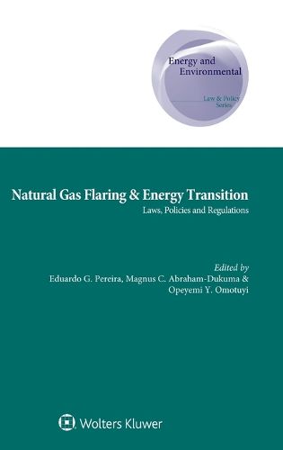 Cover image for Natural Gas Flaring & Energy Transition