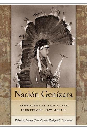 Cover image for Nacion Genizara: Ethnogenesis, Place, and Identity in New Mexico