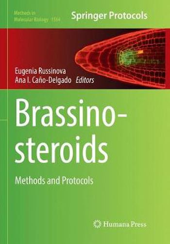 Cover image for Brassinosteroids: Methods and Protocols