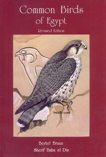 Cover image for Common Birds of Egypt