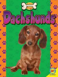 Cover image for Dachshunds