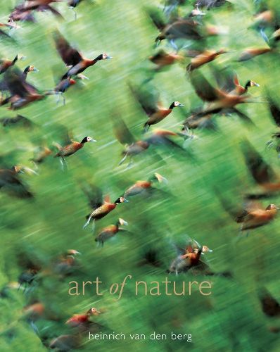 Cover image for Art Of Nature