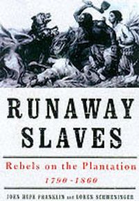 Cover image for Runaway Slaves: Rebels on the Plantation
