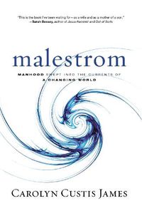 Cover image for Malestrom: Manhood Swept into the Currents of a Changing World