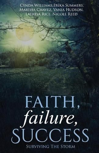 Cover image for Faith, Failure, Success Vol. 2: Surviving the Storm