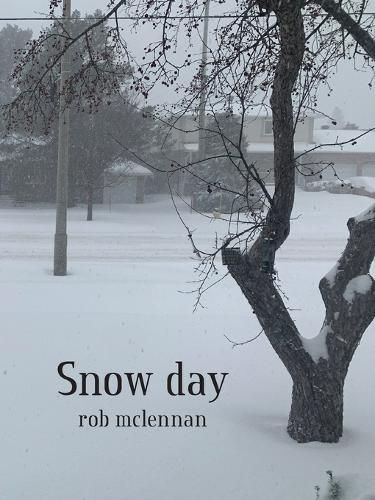 Cover image for Snow day