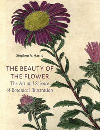 Cover image for The Beauty of the Flower