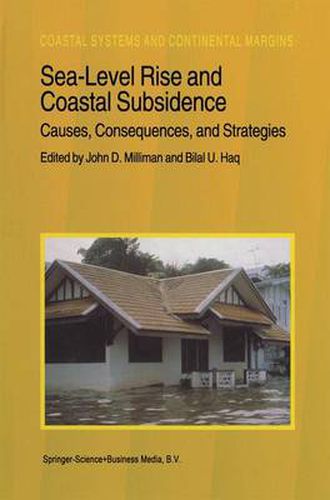 Cover image for Sea-Level Rise and Coastal Subsidence: Causes, Consequences, and Strategies