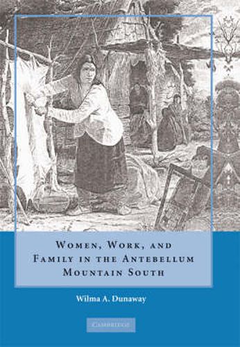 Cover image for Women, Work and Family in the Antebellum Mountain South