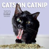 Cover image for Cats on Catnip Wall Calendar 2023