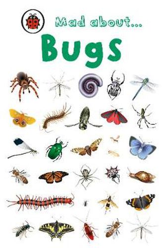 Cover image for Mad About Bugs