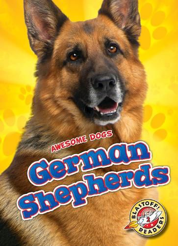 German Shepherds