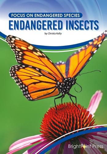 Cover image for Endangered Insects