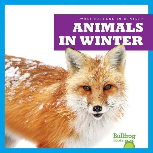 Cover image for Animals in Winter