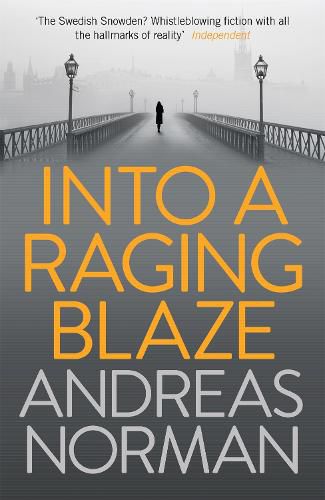 Cover image for Into a Raging Blaze