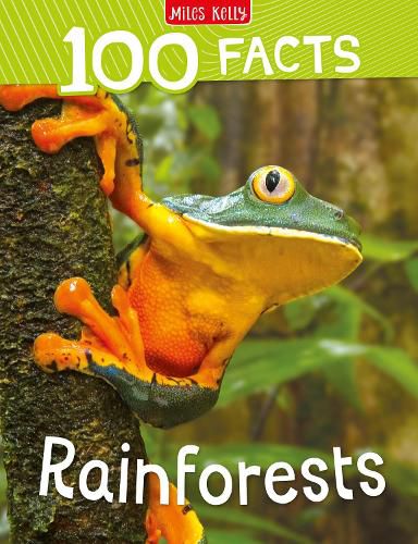 Cover image for 100 Facts Rainforests