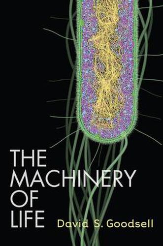 Cover image for The Machinery of Life