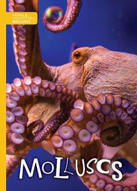 Cover image for Molluscs
