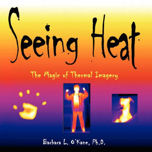 Cover image for Seeing Heat