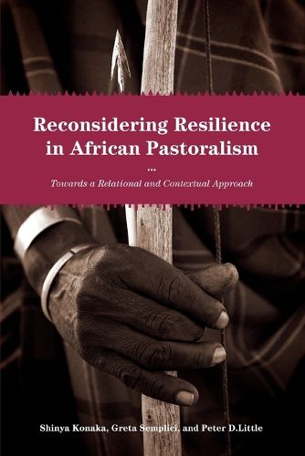 Cover image for Reconsidering Resilience in African Pastoralism