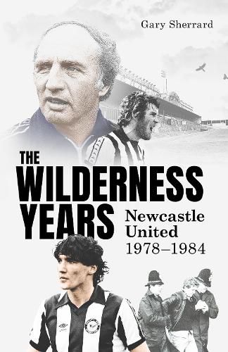 Cover image for The Wilderness Years