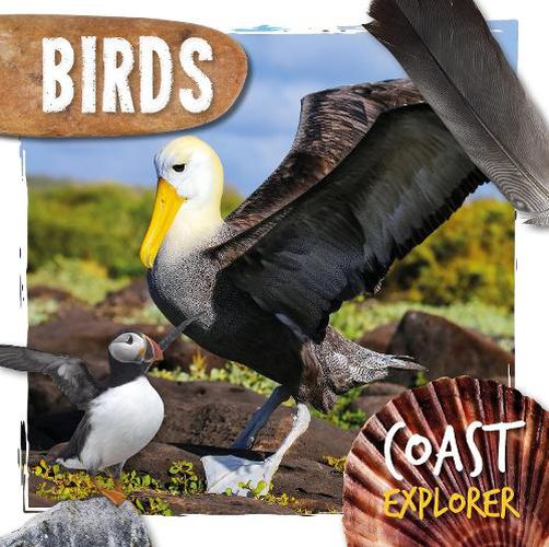 Cover image for Birds