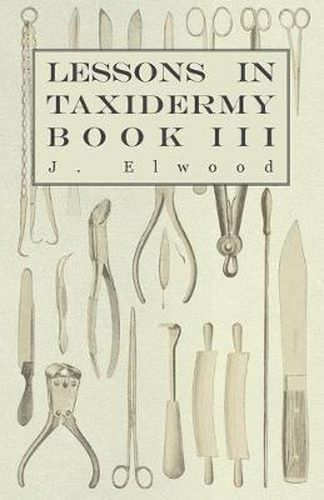 Cover image for Lessons In Taxidermy - A Comprehensive Treatise On Collecting And Preserving All Subjects Of Natural History - Book III.