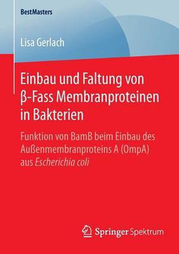 Cover image for Einbau und Faltung von  -Fass Membranproteinen in Bakterien: Funktion von BamB beim Einbau des Aussenmembranproteins A (OmpA) aus Escherichia coli