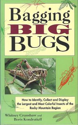 Cover image for Bagging Big Bugs: How to Identify, Collect, and Display the Largest and Most Colorful Insects of the Rocky Mountain Region