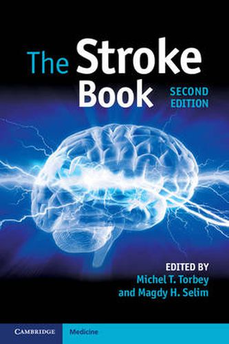 Cover image for The Stroke Book
