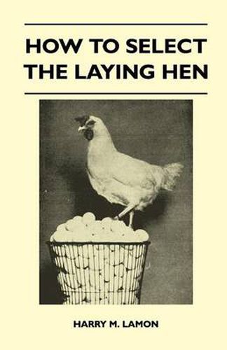 Cover image for How To Select The Laying Hen