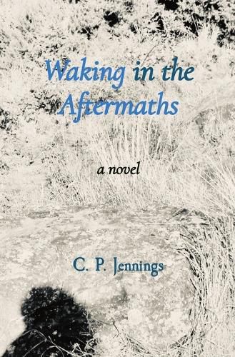 Cover image for Waking in the Aftermaths