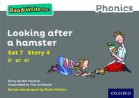 Cover image for Read Write Inc. Phonics: Grey Set 7 Storybook 4 Looking After a Hamster