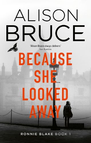 Cover image for Because She Looked Away