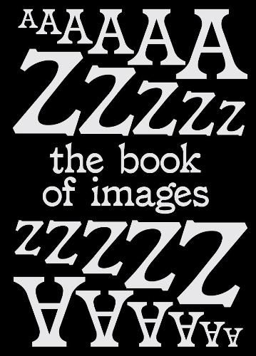 Book of Images: An illustrated dictionary of visual experiences