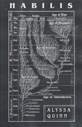 Cover image for Habilis
