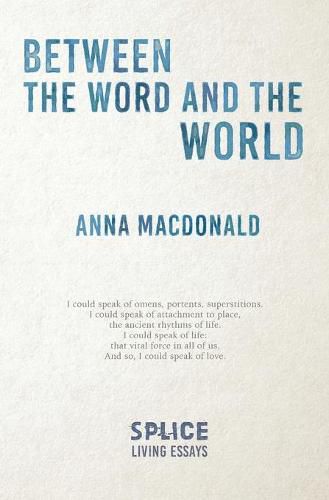 Cover image for Between the Word and the World