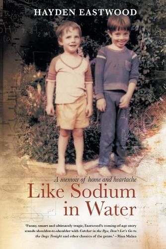 Cover image for Like sodium in water: A memoir of home and heartache