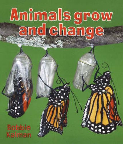 Cover image for Animals Grow and Change