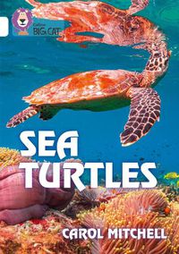 Cover image for Sea Turtles: Band 10/White