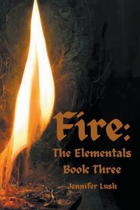 Cover image for Fire