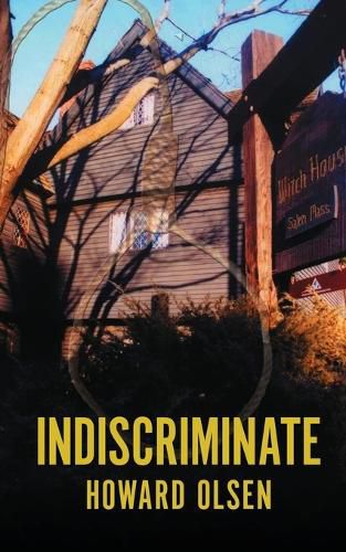 Cover image for Indiscriminate