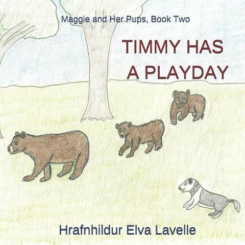 Cover image for Timmy Has a Playday