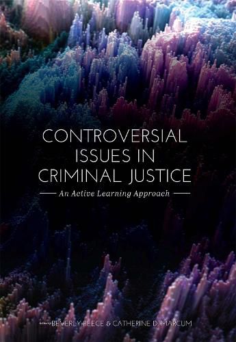 Cover image for Controversial Issues in Criminal Justice: An Active Learning Approach