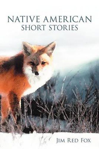 Cover image for Native American Short Stories